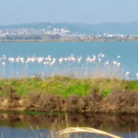 דירה Confortable A 22 M² + Terrasse C הייר